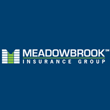 logo Meadowbrook Insurance Group